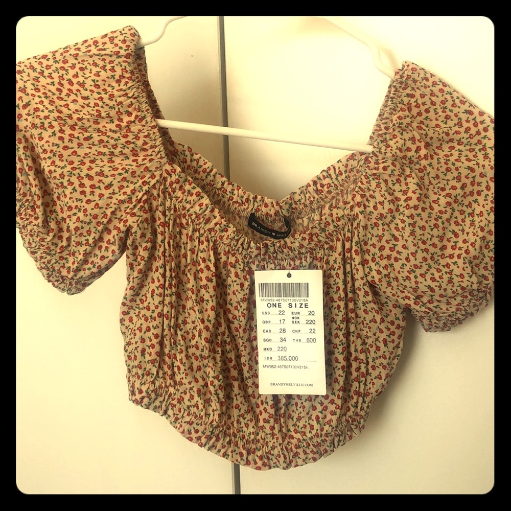Brandy Melville crop top